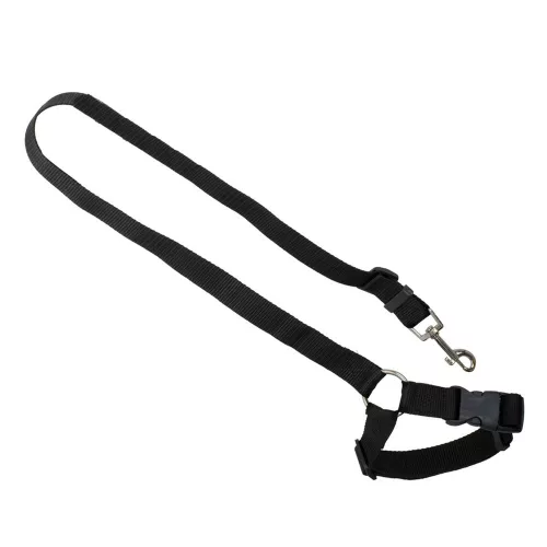 Car seat belt leash for dog and cat