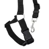 Car seat belt leash for dog and cat