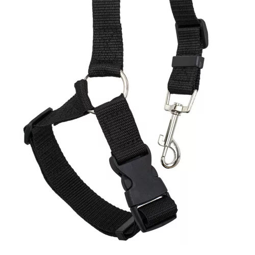 Car seat belt leash for dog and cat