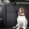 Car seat belt leash for dog and cat