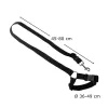 Car seat belt leash for dog and cat