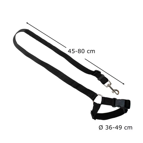 Car seat belt leash for dog and cat