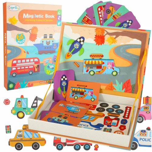 Magnetic transport puzzle