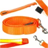 LED lighted dog leash 2.5x120cm orange