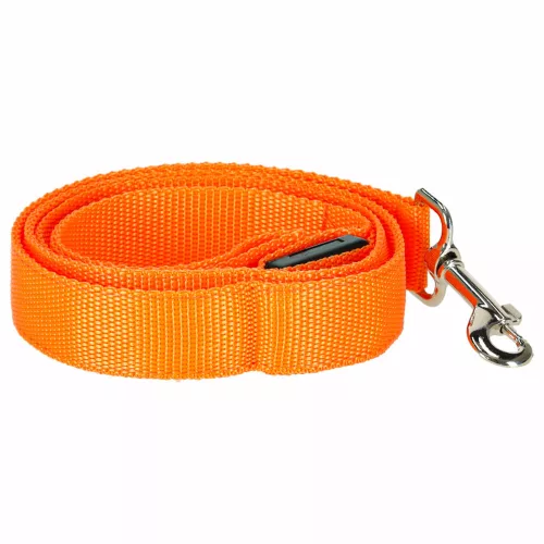 LED lighted dog leash 2.5x120cm orange
