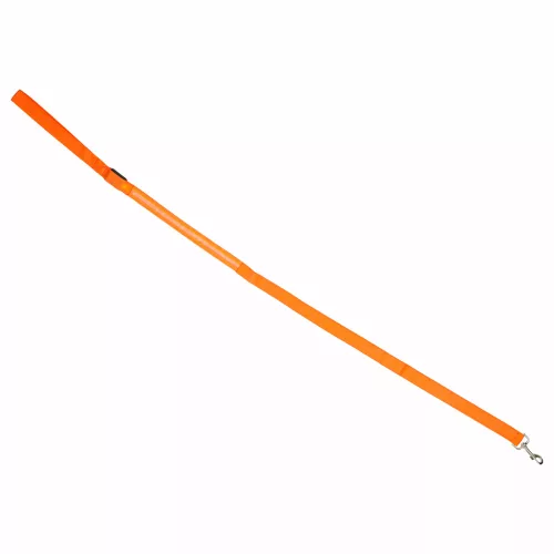 LED lighted dog leash 2.5x120cm orange