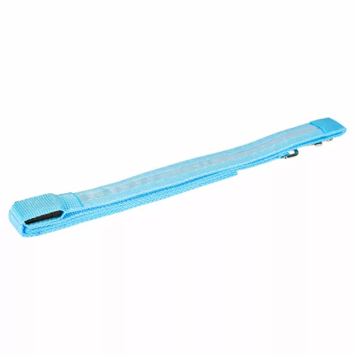 LED lighted dog leash 2.5x120cm blue