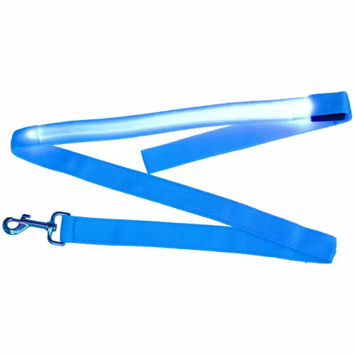 LED lighted dog leash 2.5x120cm blue