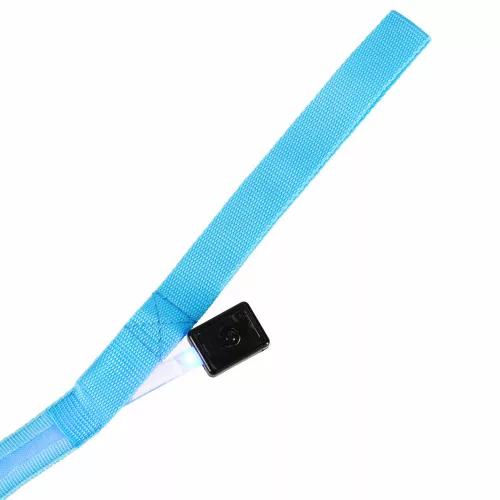 LED lighted dog leash 2.5x120cm blue