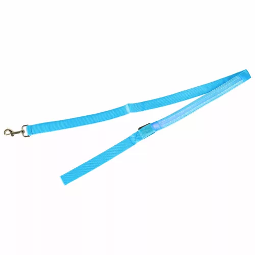 LED lighted dog leash 2.5x120cm blue