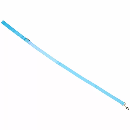 LED lighted dog leash 2.5x120cm blue