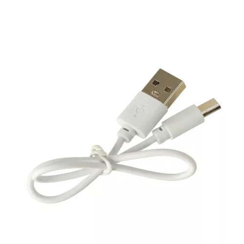 LED light with induction charger and radio