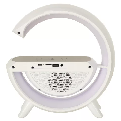 LED light with induction charger and radio