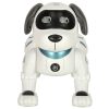 RC robot dog jumps and walks