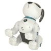 RC robot dog jumps and walks