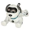 RC robot dog jumps and walks
