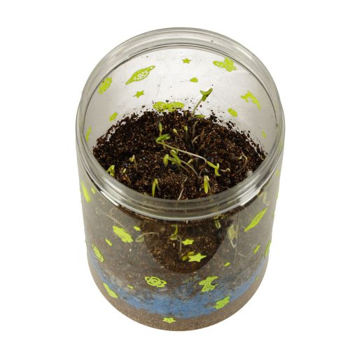 Rising Dinosaur Terrarium Projector with LED Night Light