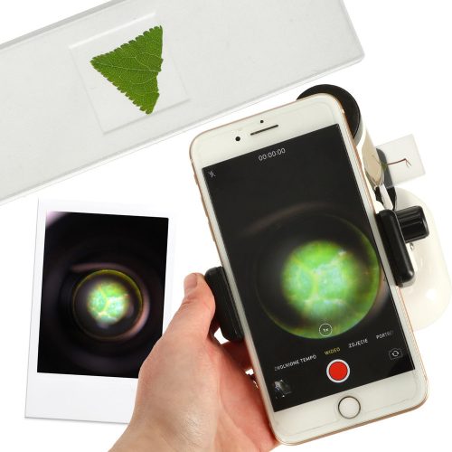 Educational School Science Microscope for Kids