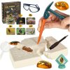 Excavation insect fossils amber archaeological kit