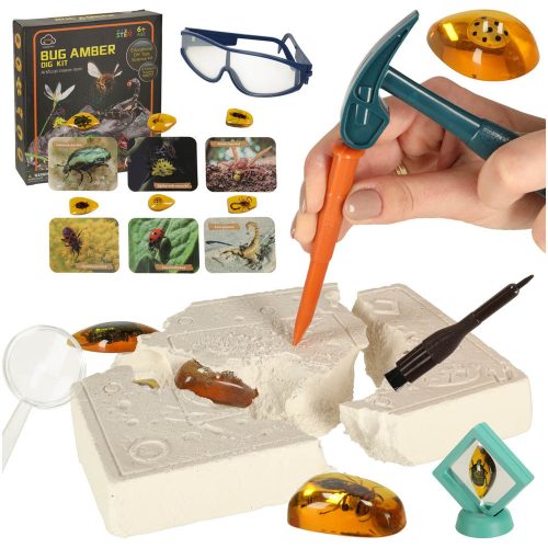 Excavation insect fossils amber archaeological kit