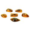 Excavation insect fossils amber archaeological kit