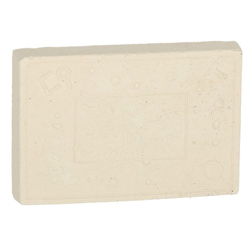 Excavation insect fossils amber archaeological kit