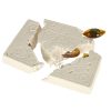Excavation insect fossils amber archaeological kit