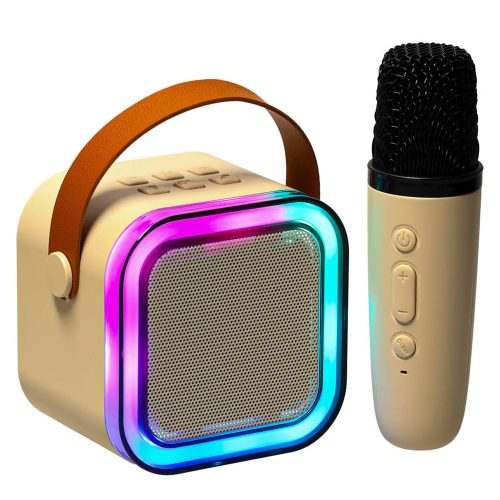Karaoke speaker with microphone gold