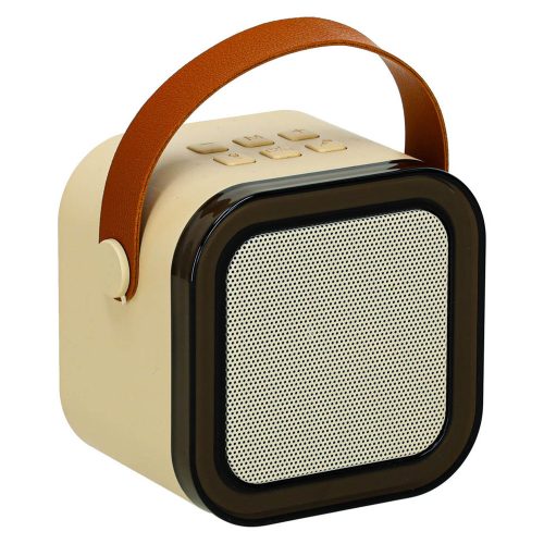 Karaoke speaker with microphone gold