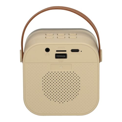 Karaoke speaker with microphone gold