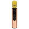 Bluetooth wireless karaoke microphone gold