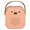 Karaoke set 2 microphones + portable speaker BLUETOOTH USB LED pink