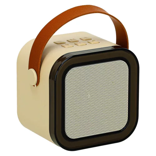 Karaoke set 2 microphones + portable speaker BLUETOOTH USB LED in beige