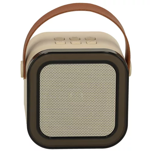 Karaoke set 2 microphones + portable speaker BLUETOOTH USB LED in beige