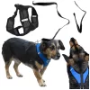 Tension-free dog harness + leash XL