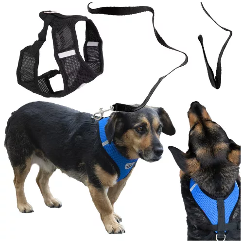 Tension-free dog harness + leash XL