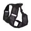Tension-free dog harness + leash XL