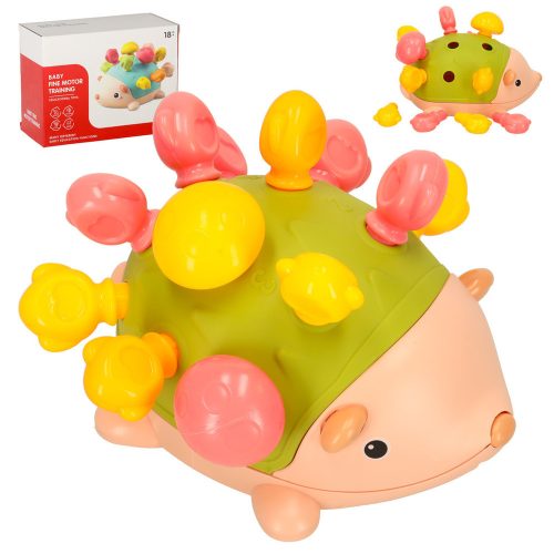 Szenzoros oktatási Montessori zöld sün