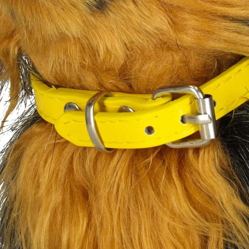 Interactive dog that moves, walks, barks and reacts to touch