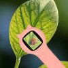 Optical Microscope Digital Magnifier 500x 2Mpx Pink