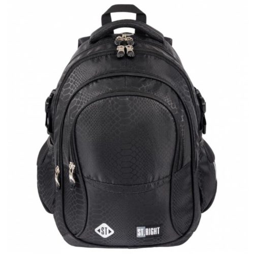 Shiny Snake 4 Compartment 17 Inch School Backpack